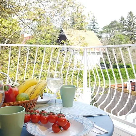 Family Surf 3 Floors Of Fun 8 Min Walk To